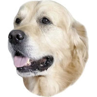 Produktbild von Nobby Pet Doréen Retriever Aufkleber