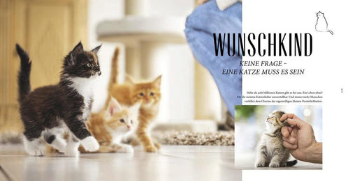 Nobby Pet Katzen Basics Ratgeber für alle Altersstufen – Bild 1 von 5