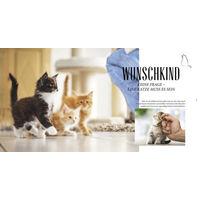 Produktbild von Nobby Pet Katzen Basics Ratgeber für alle Altersstufen
