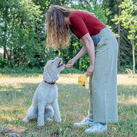 Produktbild von Nobby Plüschspielzeug Ente Emmy Gelb 25 cm für Hunde