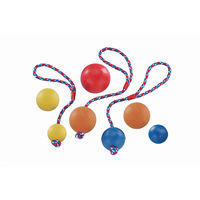 Produktbild von Nobby Rubber Line Ball Hundespielzeug aus Gummi Ø 6,5 cm
