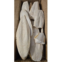 Produktbild von Nobby Sepiaschalen für Vögel 1 kg - 1 kg