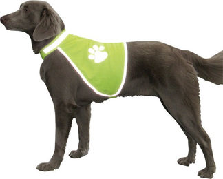 Nobby Sicherheitsweste für Hunde in Grün Größe L aus Polyester - 1 Stk. – Bild 1 von 4