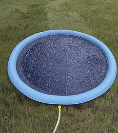 Nobby Splash Pool Hundepool für Hunde Ø 150 cm mit Anti-Rutsch-Funktion – Bild 1 von 5