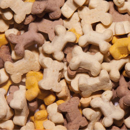 Nobby StarSnack Cookies Belohnungssnack für Welpen 1,3 kg Eimer - 1,3 kg – Bild 1 von 2