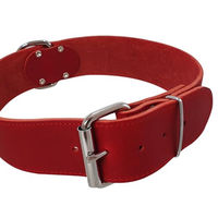 Produktbild von Nobby TABIL Hundehalsband aus Leder extra breit Rot 75 cm