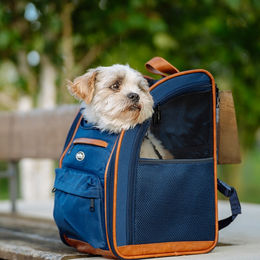 Nobby Transportrucksack Tomek Blau aus Mikrofaser für Hunde kleiner Rassen – Bild 1 von 6