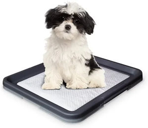 Nobby Welpenunterlage Doggy Trainer S Schwarz Grau aus Kunststoff – Bild 1 von 3