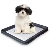 Produktbild von Nobby Welpenunterlage Doggy Trainer S Schwarz Grau aus Kunststoff
