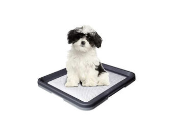 Nobby Welpenunterlagen Doggy Trainer Ersatzpads Größe S 24 Stück Blau – Bild 1 von 3