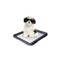 Produktbild von Nobby Welpenunterlagen Doggy Trainer Ersatzpads Größe S 24 Stück Blau