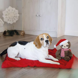 Nobby Xmas Plüsch-Hundespielzeug Faultier Fauli Braun 23 cm - 1 Stk. – Bild 1 von 4