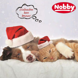 Nobby XMAS Snack Box für Katzen mit Huhn und Garnele 140 g – Bild 1 von 2