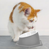 Produktbild von nobleza Gesundheits Futternapf für Katzen grau waschbar und abnehmbar