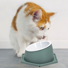 nobleza Gesundheits Futternapf für Katzen grün waschbar und abnehmbar – Bild 1 von 3