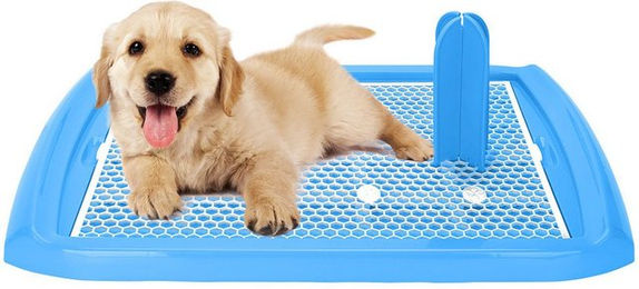 nobleza Hundetoilette Trainings-WC mit Unterlagehalter für Hunde in Blau – Bild 1 von 2