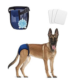 Nobleza Hundewindeln Waschbare Schutzhose für Hündinnen mit 3 Damenbinden Größe L Blau – Bild 1 von 6
