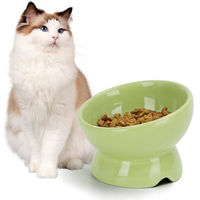 Produktbild von nobleza Katzennapf aus Keramik mit 15 Grad Neigung in Grün