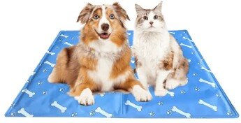 nobleza Kühlmatte für Hunde Blau mit Knochen- und Pfotenmotiv Größe M – Bild 1 von 3