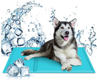 Produktbild von nobleza Kühlmatte für Hunde und Welpen in Blau oder Türkis