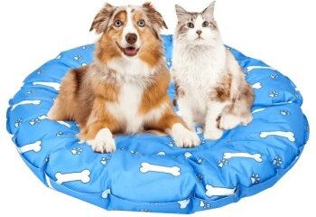 nobleza Rundes Hundebett Kühlbett Pfoten/Knochen Blau Weiß – Bild 1 von 2