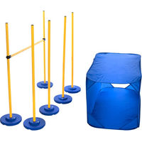 Produktbild von Nomad Tales Bloom Agility Set Hund Agility-Gerät aus Kunststoff Blau Gelb 100 x 25 x 25 cm
