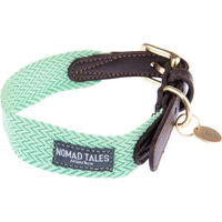 Produktbild von Nomad Tales Bloom Halsband für Hunde, Mint/Gold, Nylon, Vegan, Größe M (40-46 cm Halsumfang, 32 mm breit)