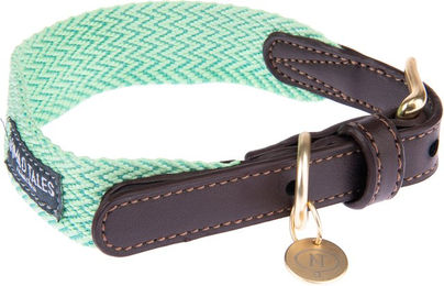 Produktbild von Nomad Tales Bloom Halsband Mint Größe S mit 36-40 cm Halsumfang und 25 mm Breite
