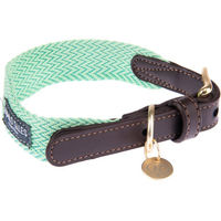 Produktbild von Nomad Tales Bloom Halsband Mint Größe S mit 36-40 cm Halsumfang und 25 mm Breite