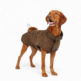 Nomad Tales Bloom Hundemantel Tartan aus Polyester in Größe L für große Hunde – Bild 1 von 10