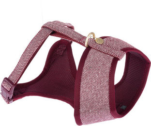 Produktbild von Nomad Tales Calma Hundegeschirr Burgundy Rot Gold Größe XS 26-34 cm Brustumfang