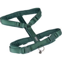 Produktbild von Nomad Tales Hundegeschirr Blush Emerald in Größe L aus Polyester mit 25 mm Breite