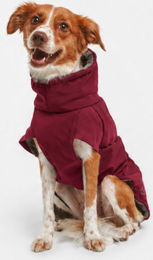Nomad Tales Spirit Softshell-Hundemantel burgunderrot 55 cm Rückenlänge – Bild 1 von 1