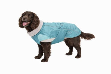 Nomad Tales Spirit Softshell Hundemantel Pacific Wasserabweisender Wintermantel mit Fleece-Futter Türkis Größe S – Bild 1 von 4
