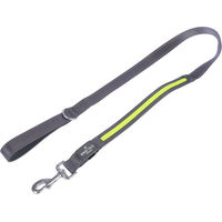 Produktbild von Nomad Tales Spirit USB LED Hundeleine aus Nylon in Neongelb und Grau 120 cm lang und 25 mm breit mit wiederaufladbarem Akku - 120 cm