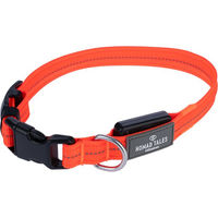 Produktbild von Nomad Tales Spirit USB LED Nylonhalsband für Hunde in Orange Größe M mit Halsumfang 36-51 cm und wiederaufladbarem Akku