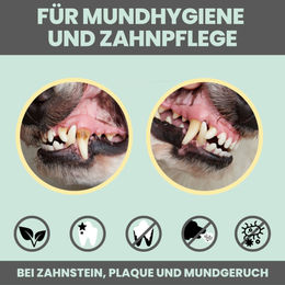 noms+ Dental-Spray zur Zahnpflege bei Zahnstein für Hunde und Katzen 100ml – Bild 1 von 4