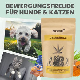 noms+ Gelenkmix Pulver Vegan & Hypoallergen für Hunde und Katzen 150g - 150 g – Bild 1 von 7