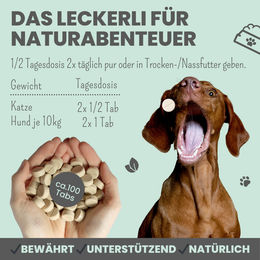 noms+ Zistrosen Tabs 150g Natürliches Beruhigungs-Leckerli für Hunde und Katzen - 150 g – Bild 1 von 5