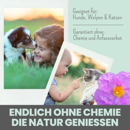 noms+ Zistrosen Tabs natürliches Leckerli für Hunde und Katzen 150g - 150 g – Bild 1 von 4