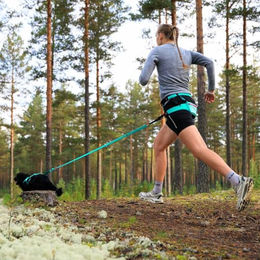 Non-stop dogwear CaniX Belt 2.0 Hüftgurt für Hunde aus Nylon in Türkis/Rosa Größe S – Bild 1 von 5