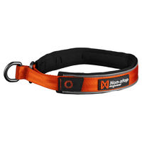 Produktbild von Non-stop dogwear Cruise Collar Erziehungshalsband für Hunde aus Nylon Orange Größe XL - 1 Stk.