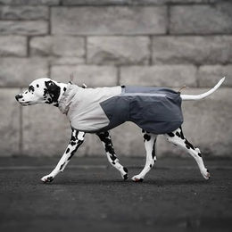 Non-stop dogwear Fjord Regenmantel 2.0 für Hunde Grau mit Rückenlänge 50 cm waterproof – Bild 1 von 3