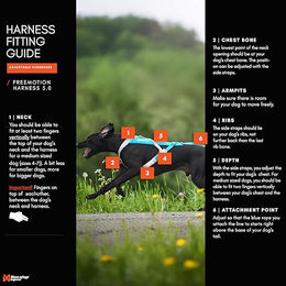 Non-stop dogwear Freemotion Harness 5.0 Hundegeschirr aus Nylon Schwarz Orange Größe 6 – Bild 1 von 7