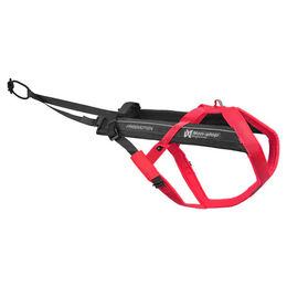 Non-stop dogwear Freemotion Harness 5.0 Y-Geschirr für Hunde in Rosa Größe 4 – Bild 1 von 11