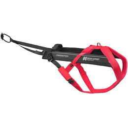 Non-stop dogwear Freemotion Harness 5.0 Y-Geschirr für Hunde in Rosa Größe 7 – Bild 1 von 5