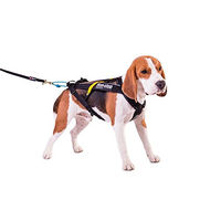 Produktbild von Non-stop dogwear Freemotion Harness Sportgeschirr für Hunde Schwarz Größe 4