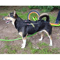 Produktbild von Non-stop dogwear Freemotion Harness Sportgeschirr für Hunde Schwarz Größe 6