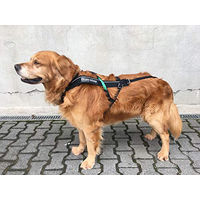 Produktbild von Non-stop dogwear Freemotion Harness Sportgeschirr für Hunde Schwarz Größe 8