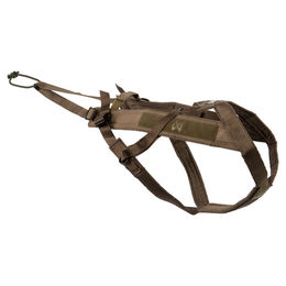 Non-stop dogwear Freemotion Sportgeschirr für Hunde in Grün Größe 8 – Bild 1 von 4